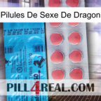 Dragon Sex Pills new14